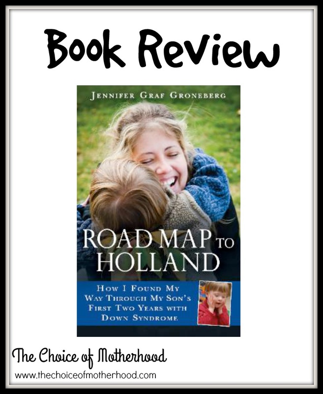  Road Map to Holland - Jennifer Graf Groneberg - Book Review